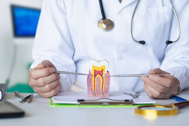 Best Broken or Cracked Tooth Emergency Dentist in Denver, PA